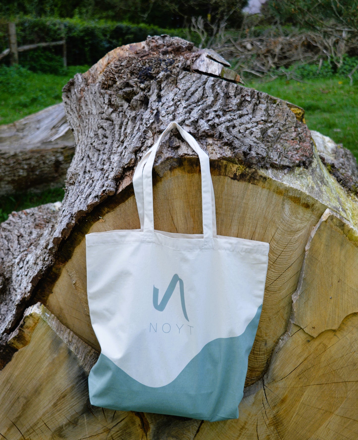 NOYT Beach/Day bag