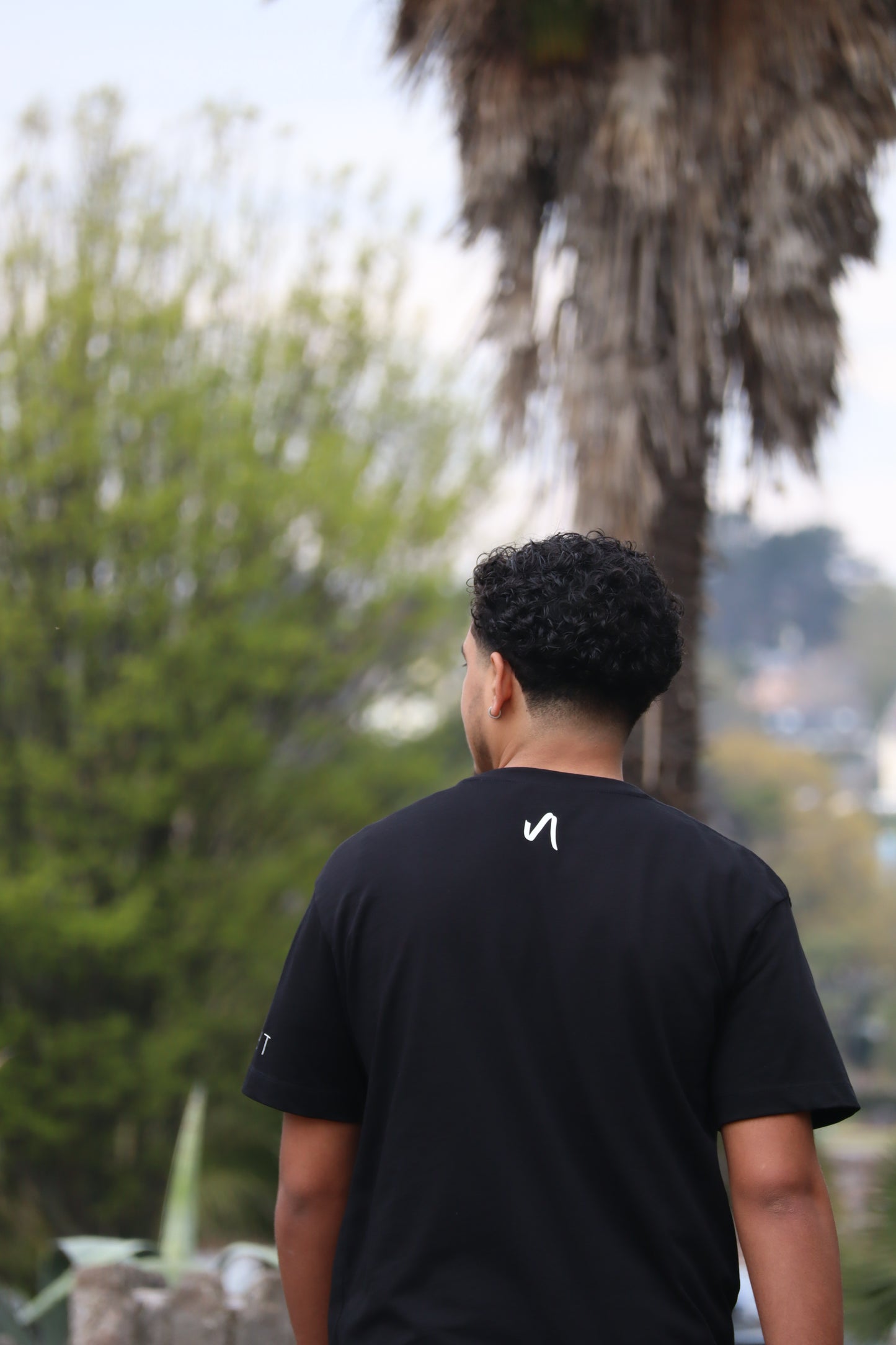 Unisex T-Shirt (Plain Front)